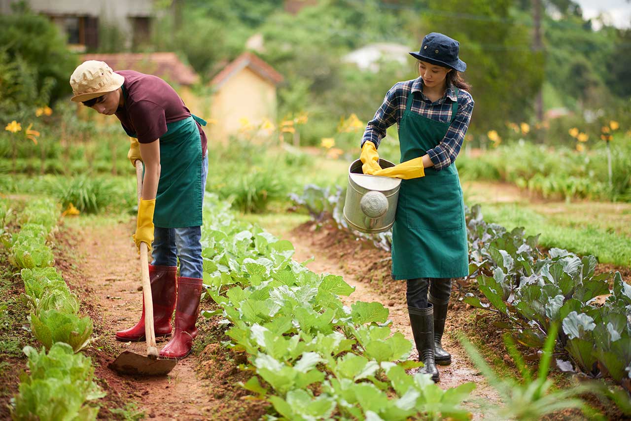 O Dia do Trabalhador Rural é comemorado no dia 25 de Maio no Brasil